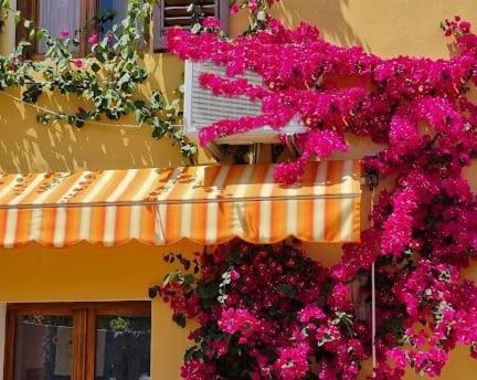 Appartamento In The Heart Of Tuscany Monsummano Terme المظهر الخارجي الصورة